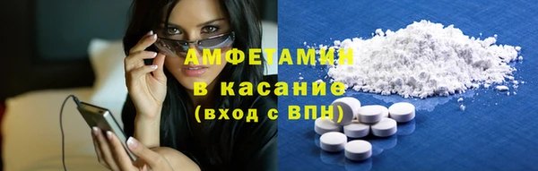 молекула духа Арсеньев