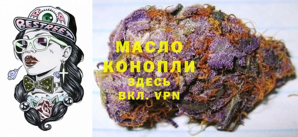 молекула духа Арсеньев